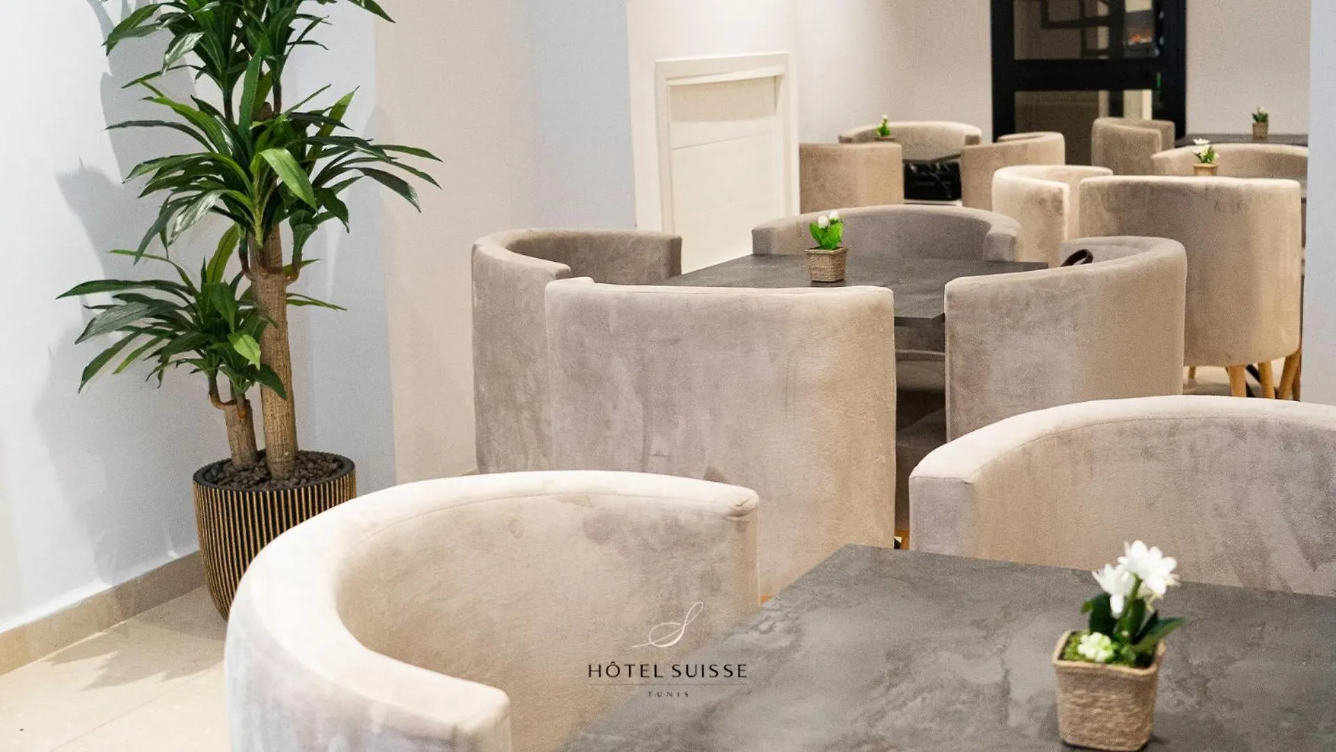 Hotel Suisse Tunis